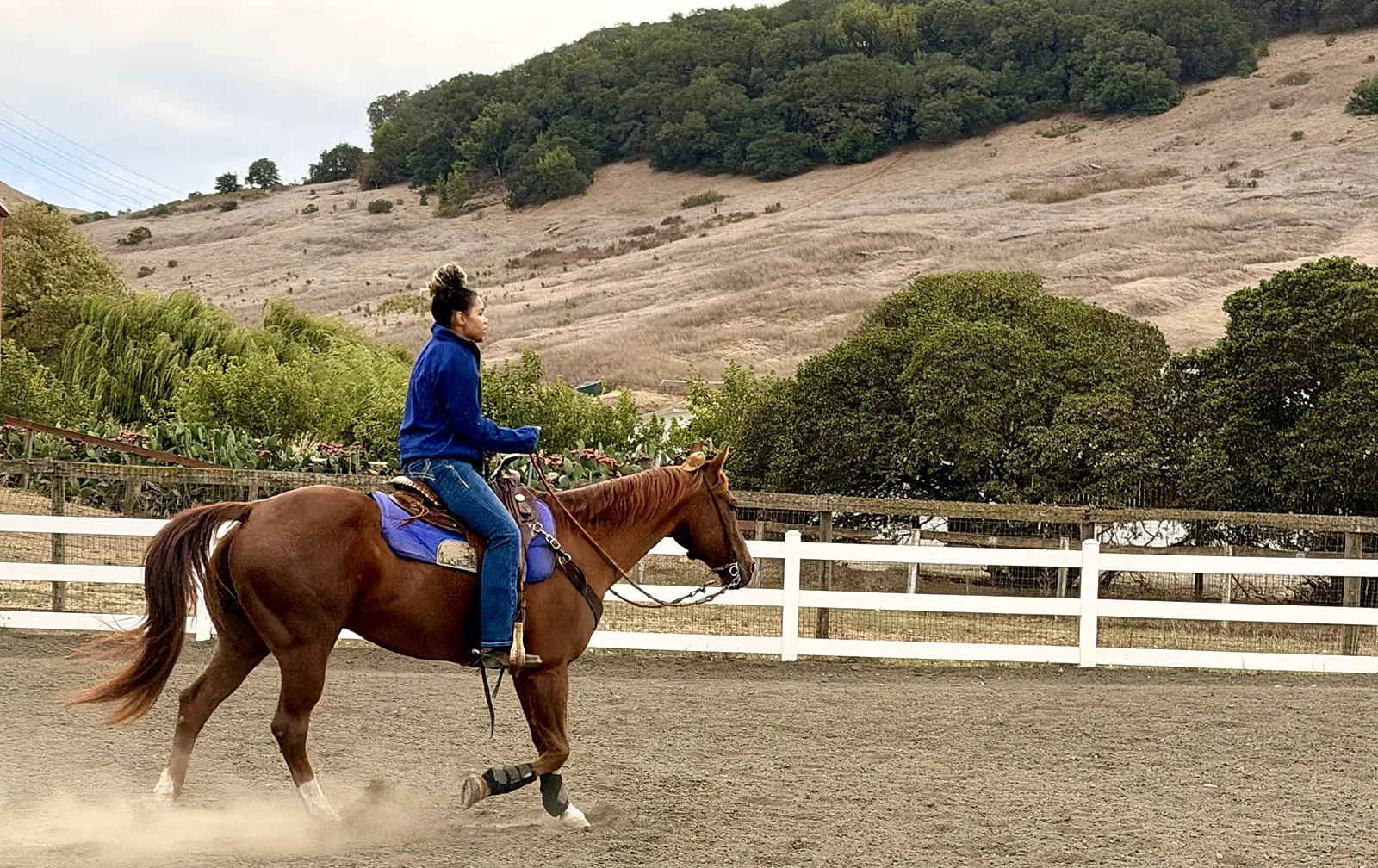 Alyson riding a chestnut horse at a trot in a sandy arena, with a white fence and golden hills behind