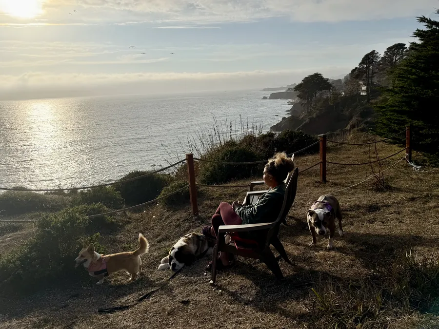 Alyson relaxing in a chair on a coastal bluff at sunset with her dogs, the ocean behind