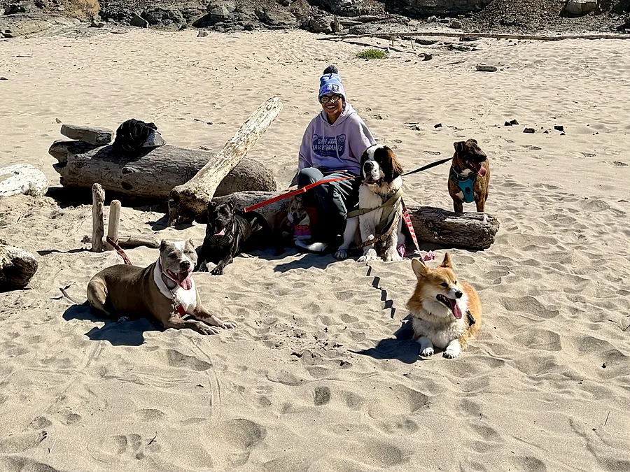 Alyson sitting on a sandy beach with her pack of dogs, including two corgis, around her